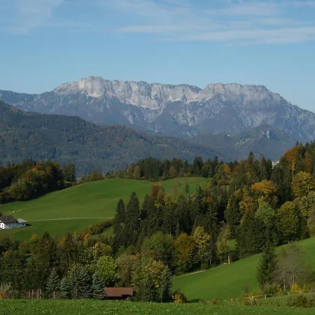 Apartment In Sankt Koloman Mit Bergblick By Interhome Appartement