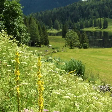 Apartment In Sankt Koloman Mit Bergblick By Interhome * Sankt Koloman