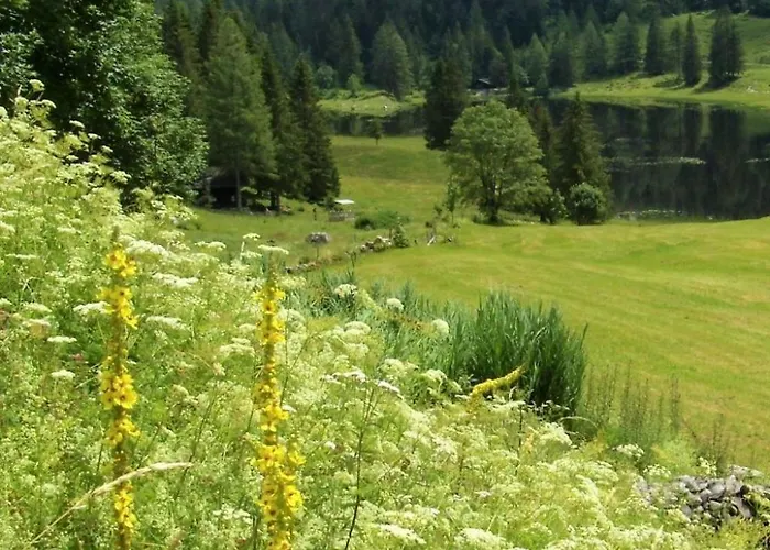 In Mit Grosser Terrasse By Interhome * Sankt Koloman