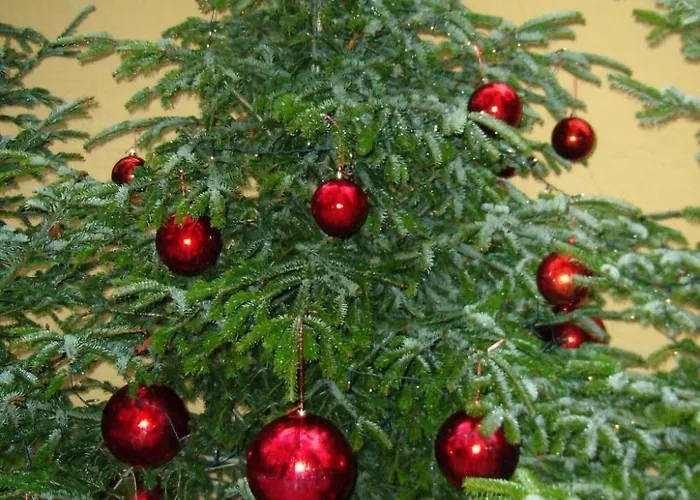 Appartement In Mit Grosser Terrasse By Interhome Sankt Koloman